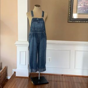 Denim Overalls